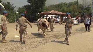 Mersin'deki orman yangını için Mehmetçik seferber oldu