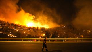 Mersin'de orman yangını