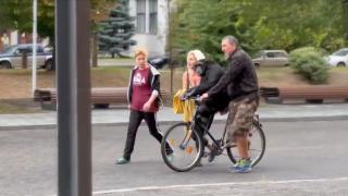 Hayvanat bahçesinden kaçan şempanze bisikletle geri döndü