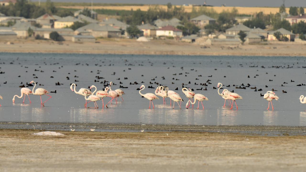 "Sondajlarla yer altı suları fazlasıyla kullanılılıyor"