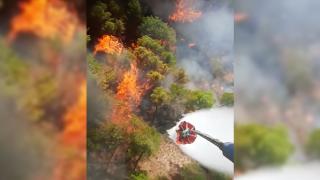 Denizli-Muğla sınırında orman yangını çıktı