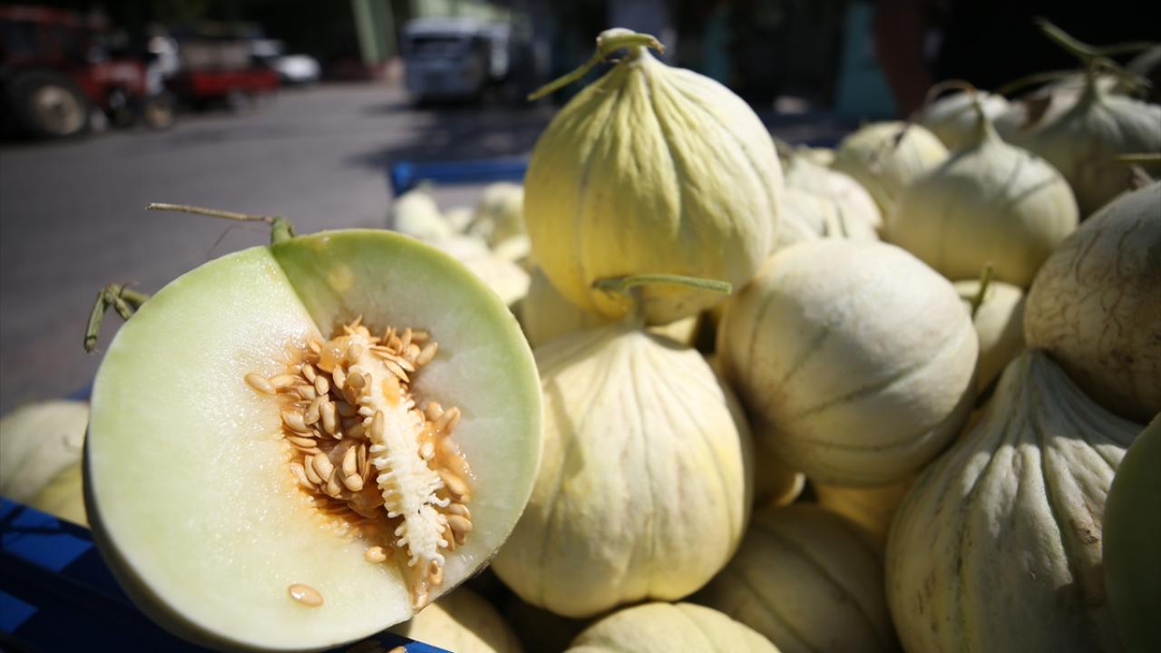 "Eskişehir`e götürüp kendi tezgahlarımızda satıyoruz"