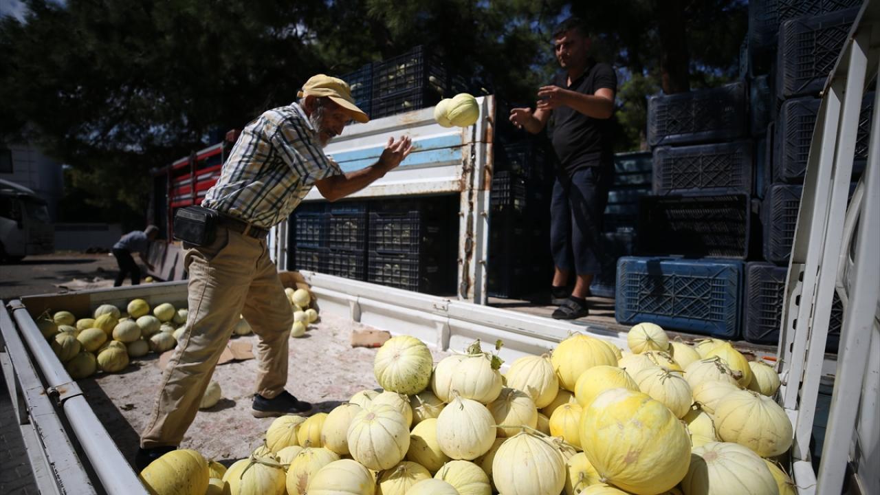 "Kavunumuzun tadını alan başka kavun yiyemez"