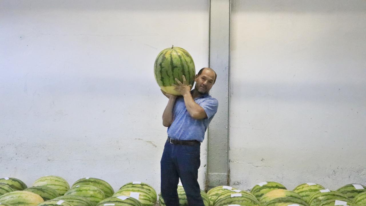"Karpuz Diyarbakır için çok özel bir ürün, özel bir değer"