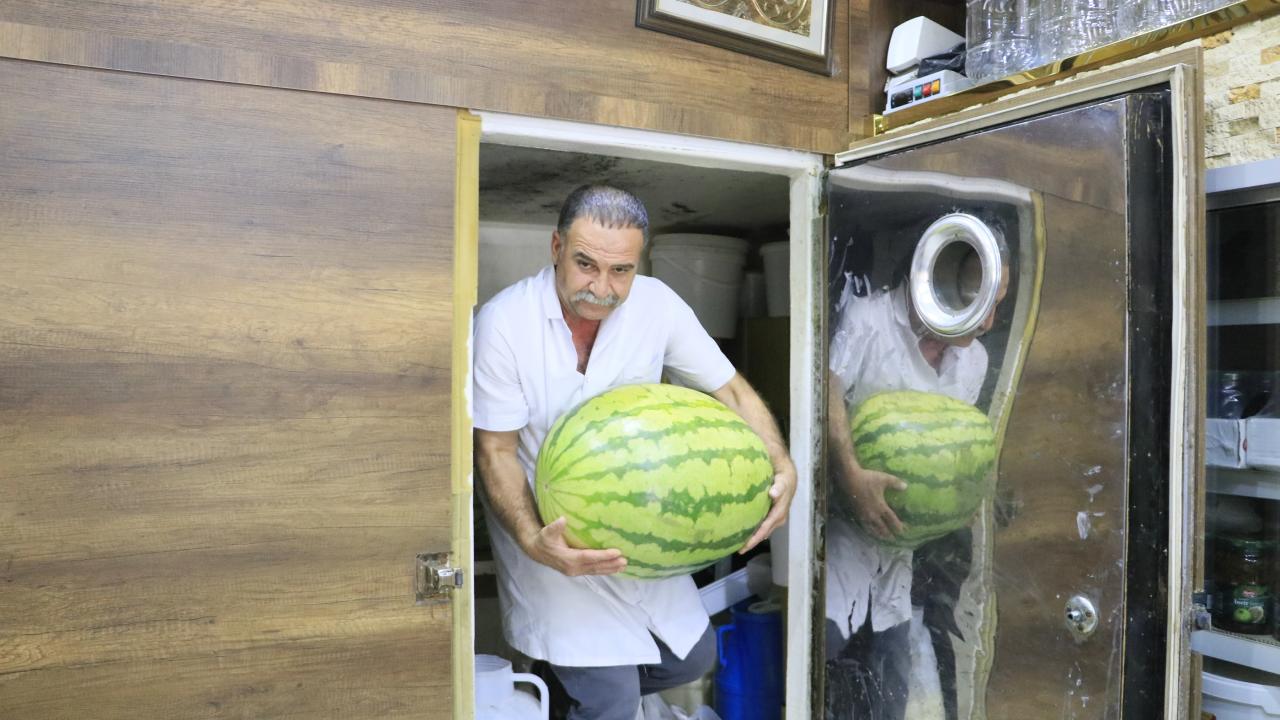 Karpuzlar 30 ile 70 kilogram arasında