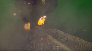 Hayalet ağlar tehdit ediyor