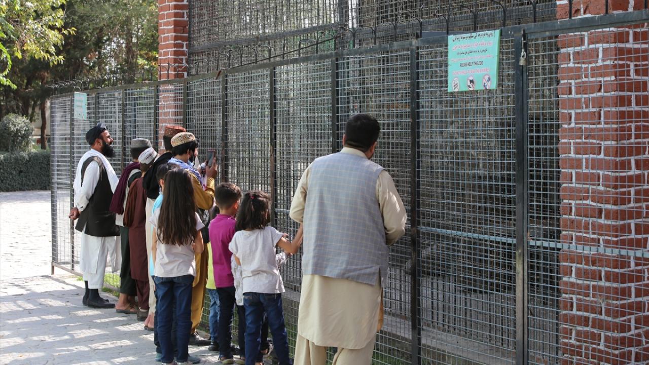 Cinsiyete göre ayrıma tepki