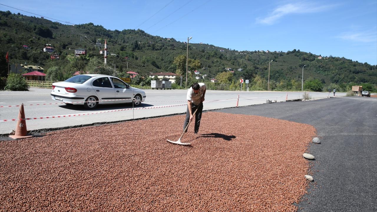 "Köyde olsak çok uzun zamanda kurutabiliriz"