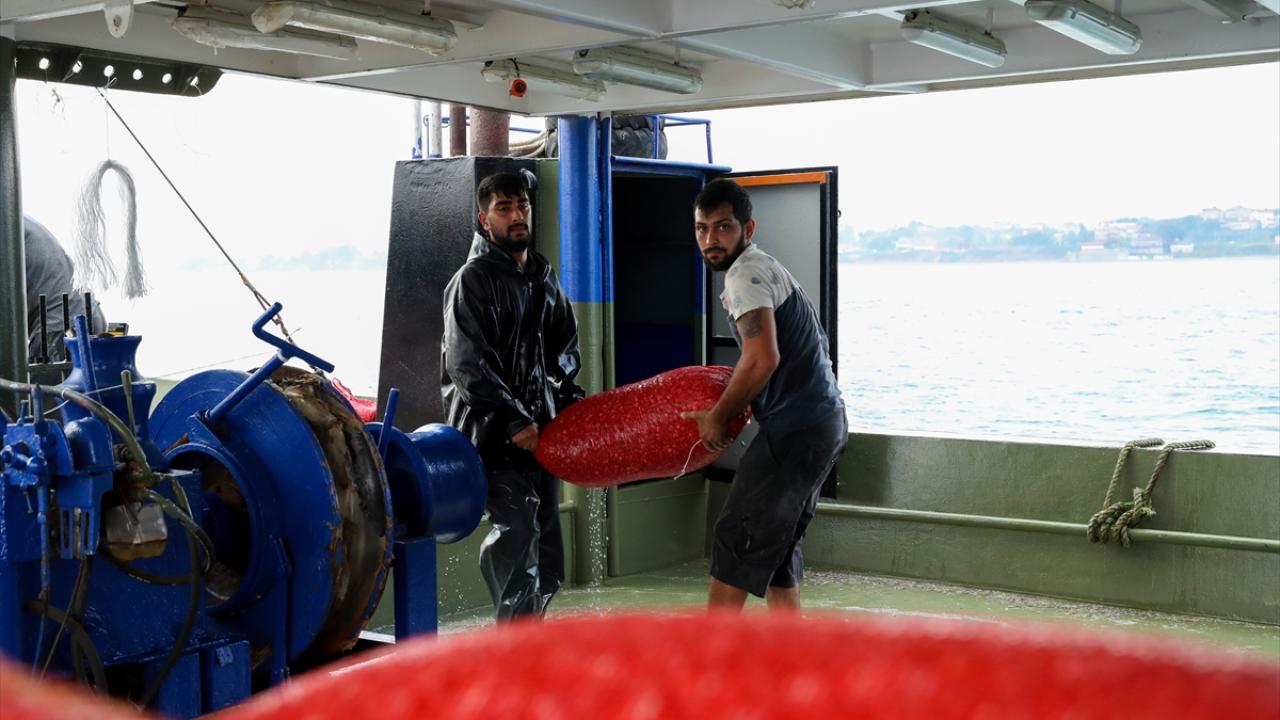 "Kum midyesi avcılığı bölgenin geçim kaynaklarından biri"