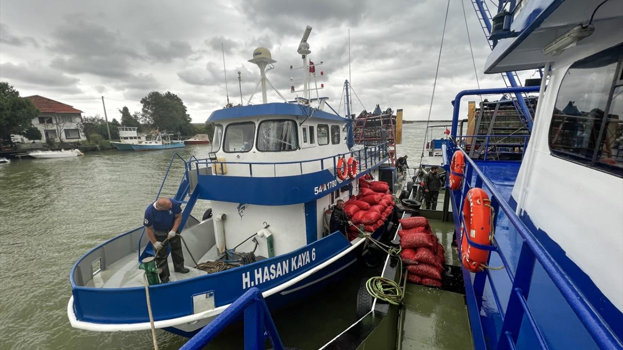 "Gecemiz gündüzümüz yok ama işimizi severek yapıyoruz"