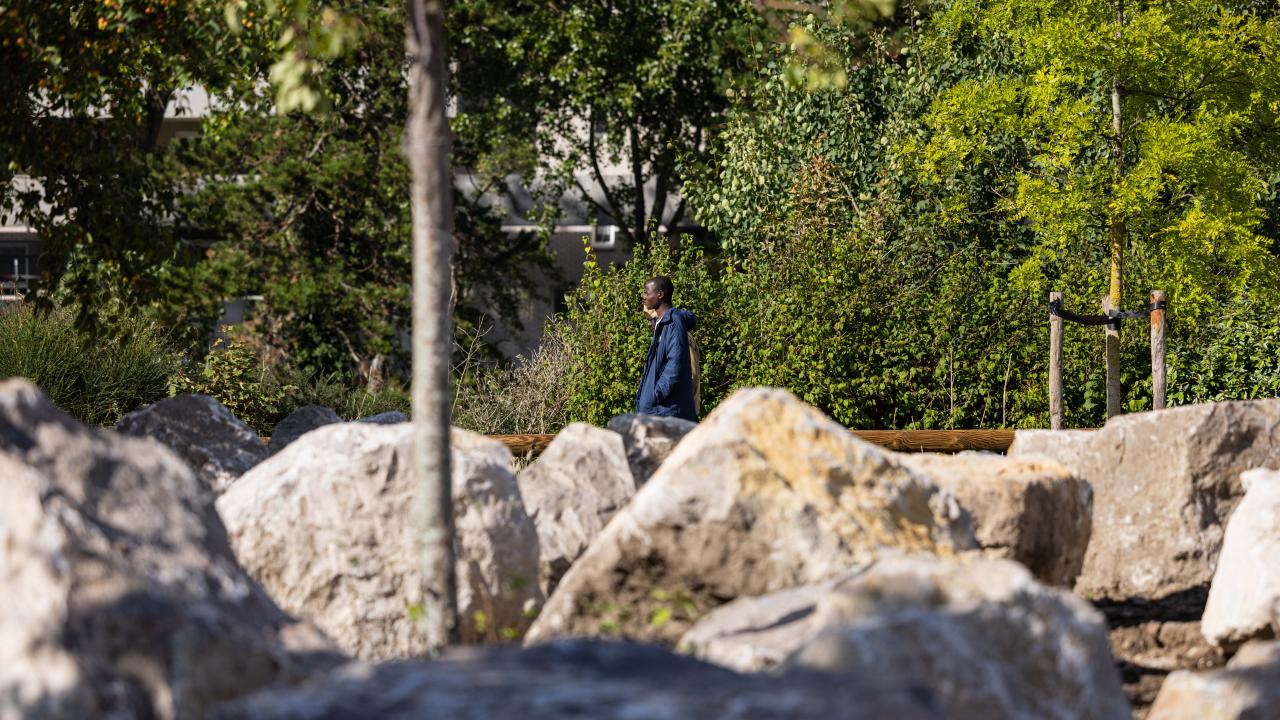 45 BİN EURO BÜTÇE AYRILDI