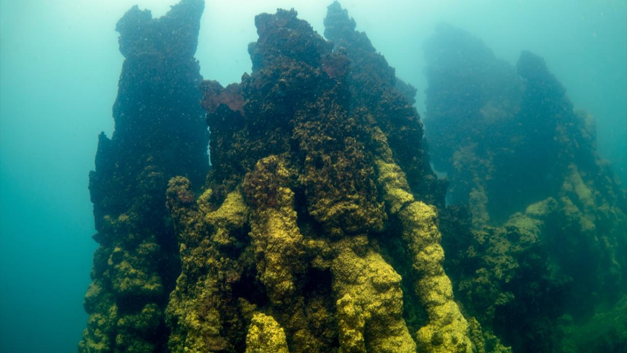 "Van`a çok büyük katkısı olacak"