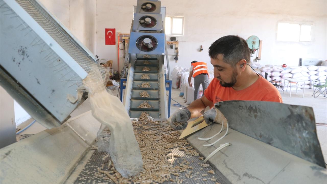 "Yoğun talep var, ürün yetiştiremiyoruz"