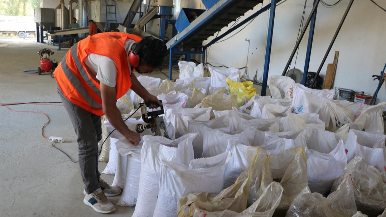 "İç piyasaya çalışıyoruz"