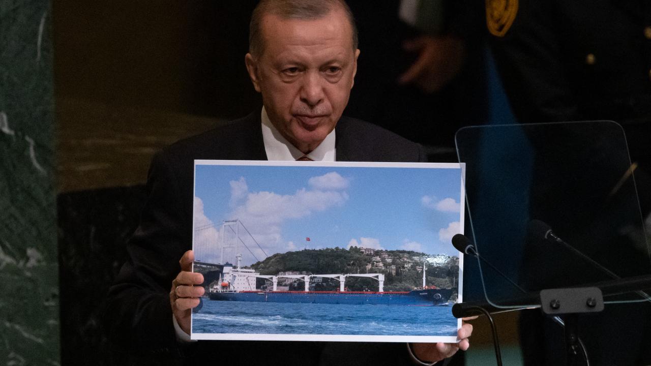 Erdoğan, Ukrayna`dan hareket eden tahıl yüklü gemilerin İstanbul Boğazı`ndan geçişine ilişkin bir fotoğrafı göstererek, şunları söyledi: