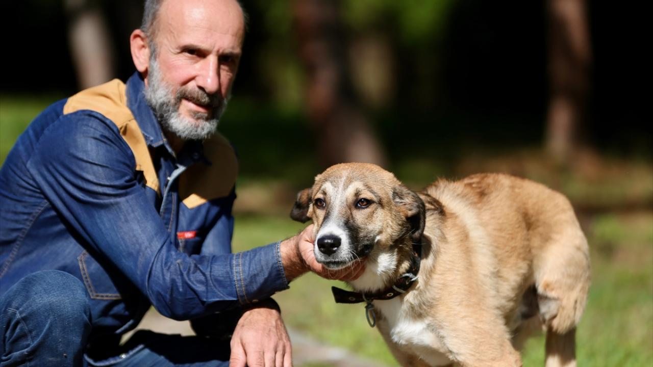 "Trafikte daha dikkatli olalım"