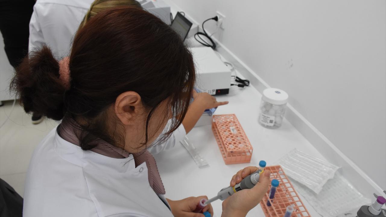 Gen transferi çalışması