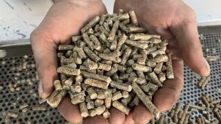 Yozgat'ta kurulan tesiste atık orman ürünleri ekonomiye kazandırılıyor