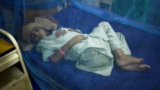 Pakistan'da dang humması