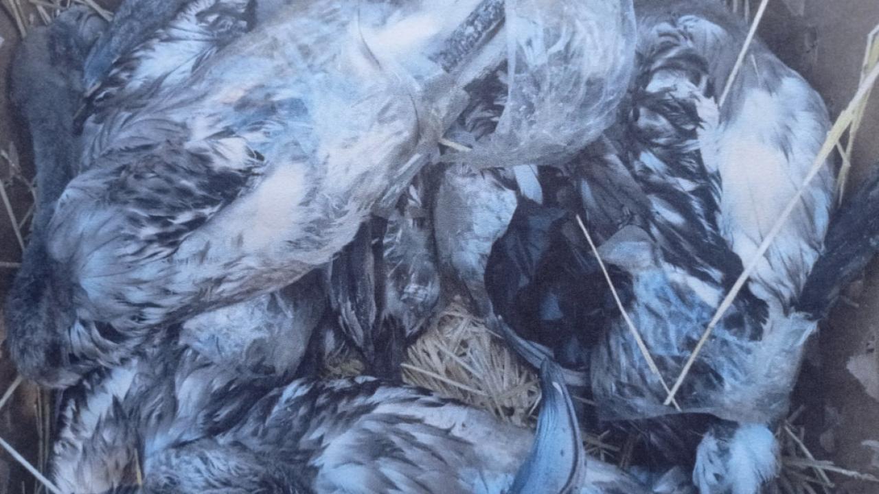 425 bin lira para cezası uygulandı