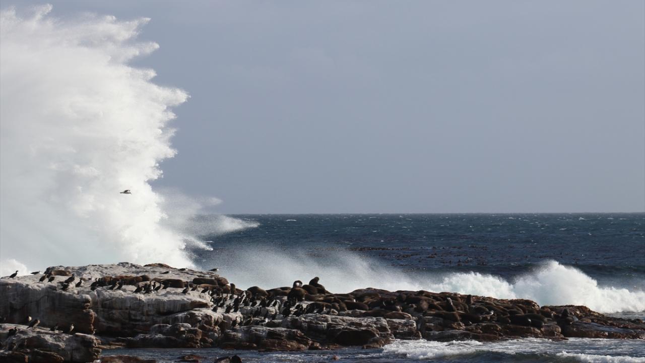 Parka giriş ücreti 20 dolar
