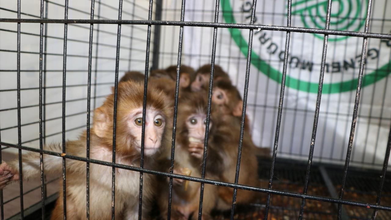 Şüphelilere 119 bin 108 lira ceza uygulandı