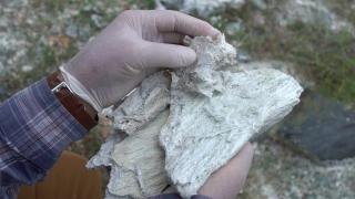 Tıbbi jeolojinin merceğinde: asbest