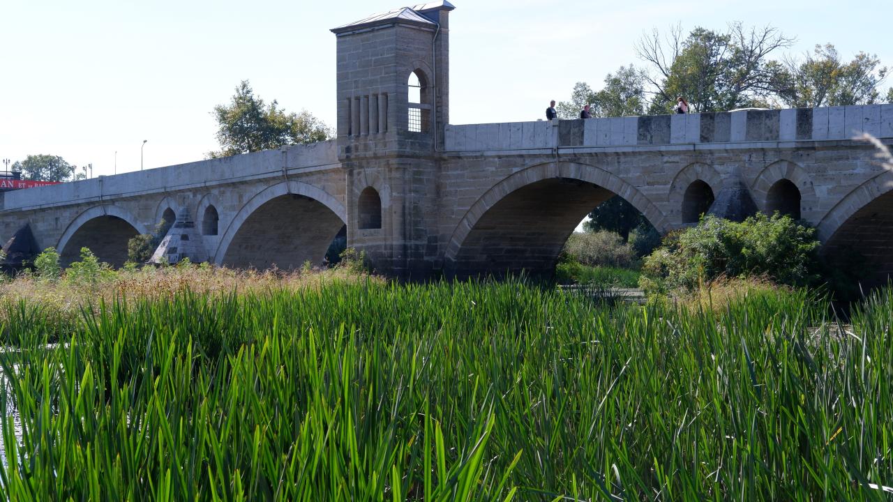 "İçler acısı bir durum"