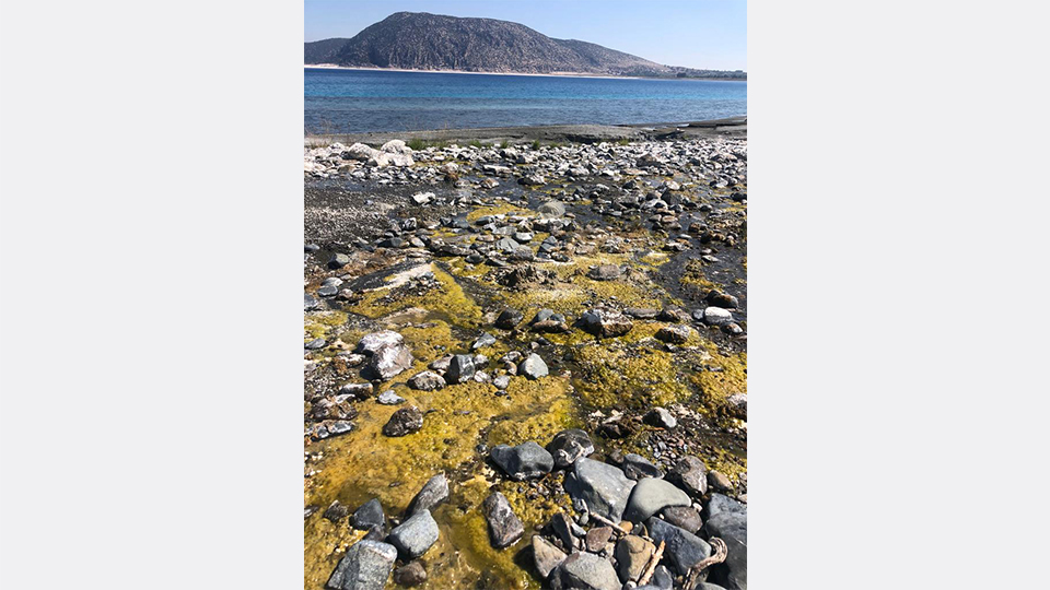 Salyalaşma tehlikesi