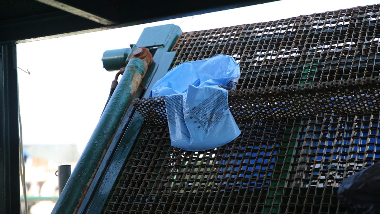 "Denize atılan çöpler canlıların hayatını olumsuz etkiliyor"