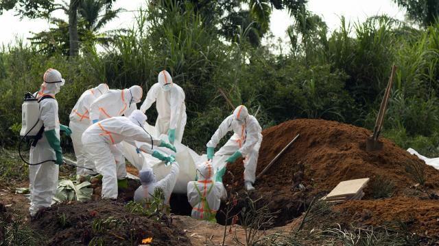 Ebola salgınında can kaybı 2 bini aştı: Virüs aylarca fark edilmeden yayıldı haber görseli