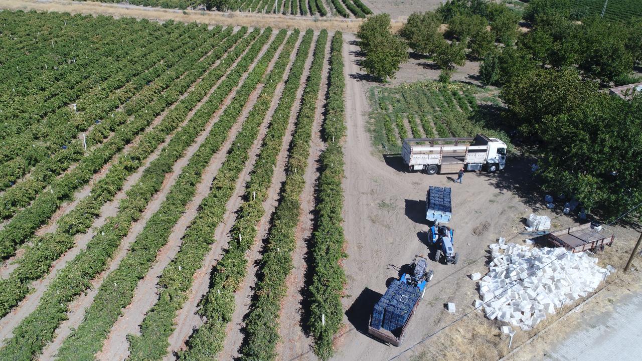 "Elazığ özel bir toprak yapısına sahip"