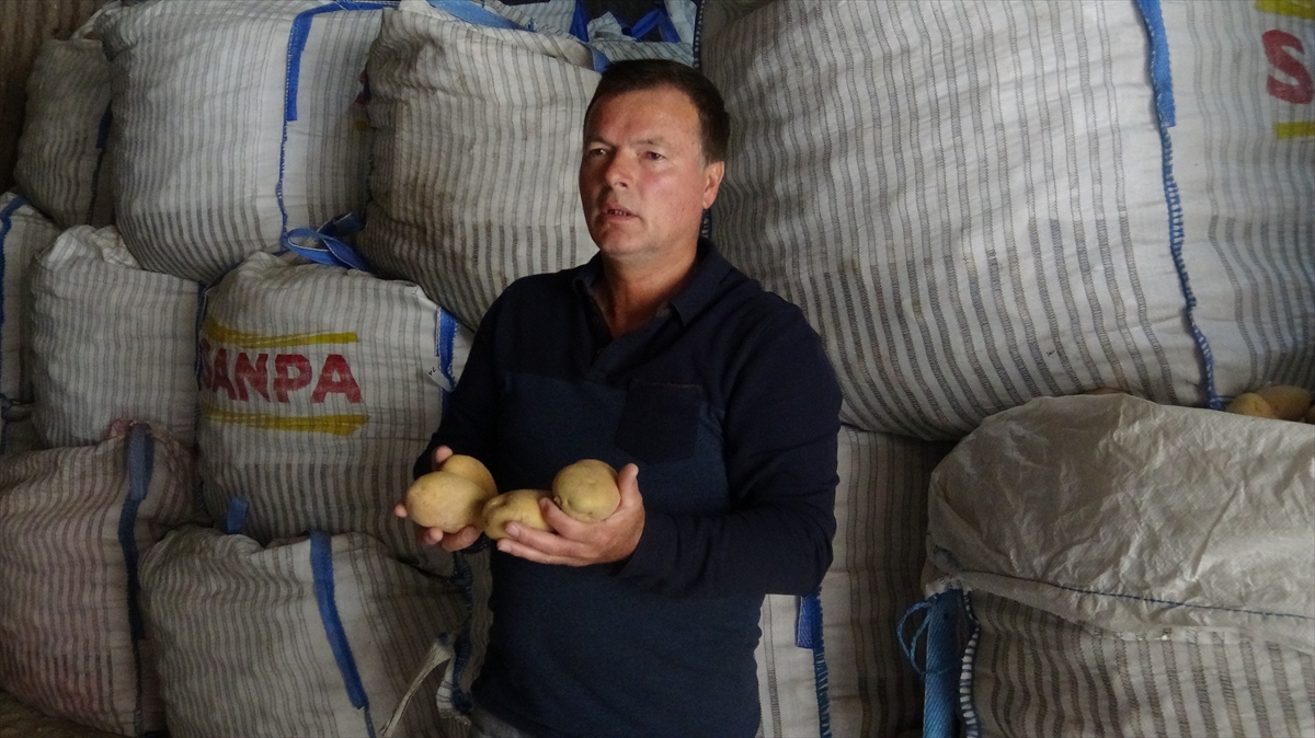 "Kendiliğinden nemini ve havalandırmasını yaparak patatesleri muhafaza ediyoruz"