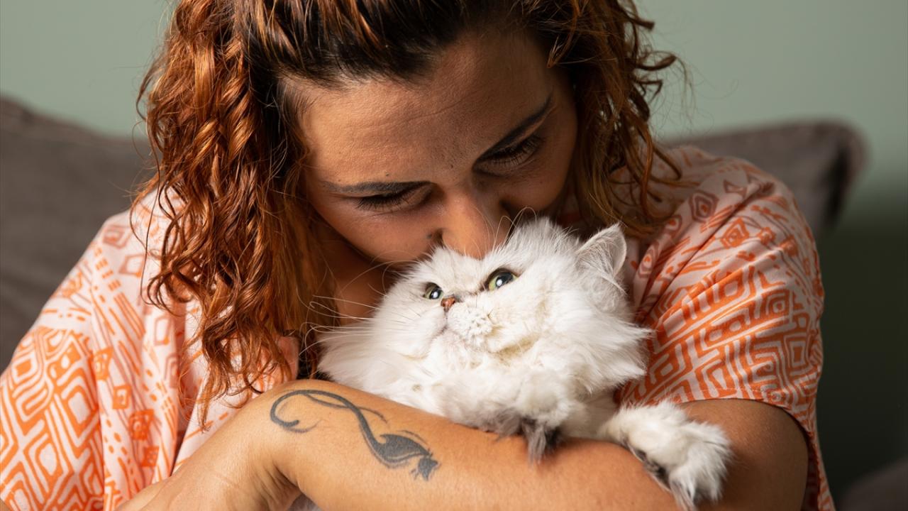 10 kedi, 5 köpek, kaplumbağa ve balık bir arada