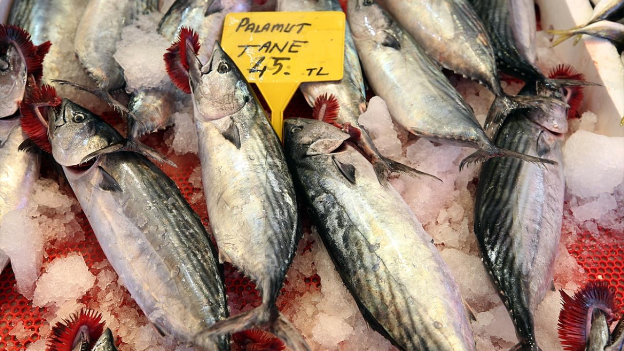 "Ekimin ortalarına doğru yağlanacak palamudun ızgarası güzel olur"