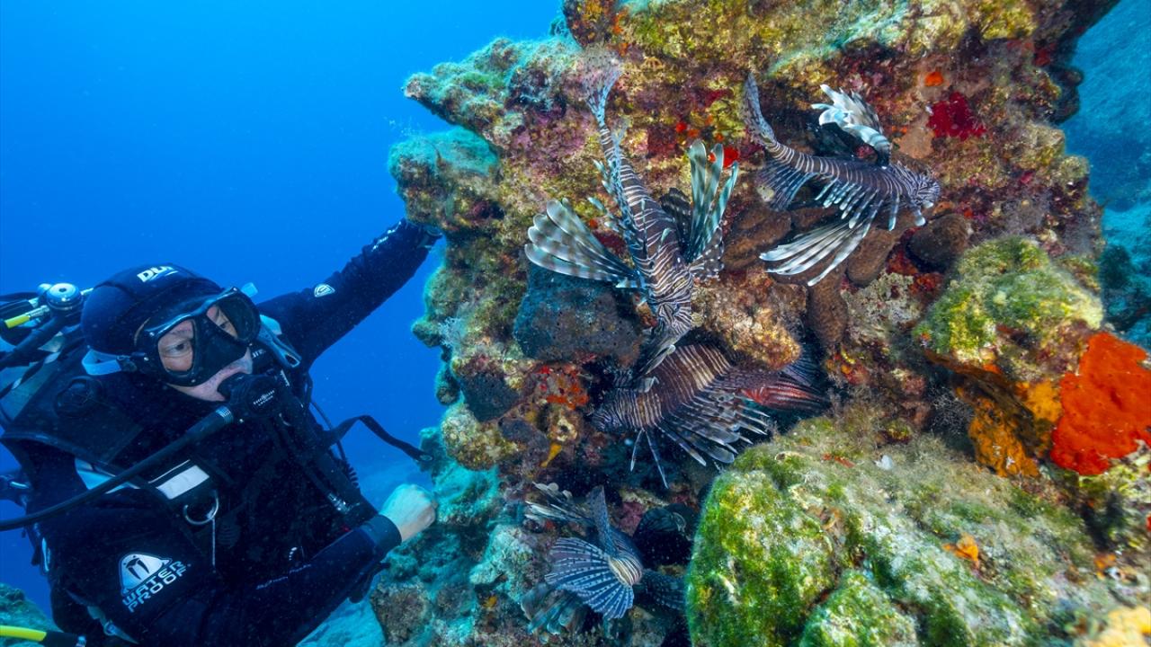 "Su altı dalış turizmini çok önemsiyoruz"