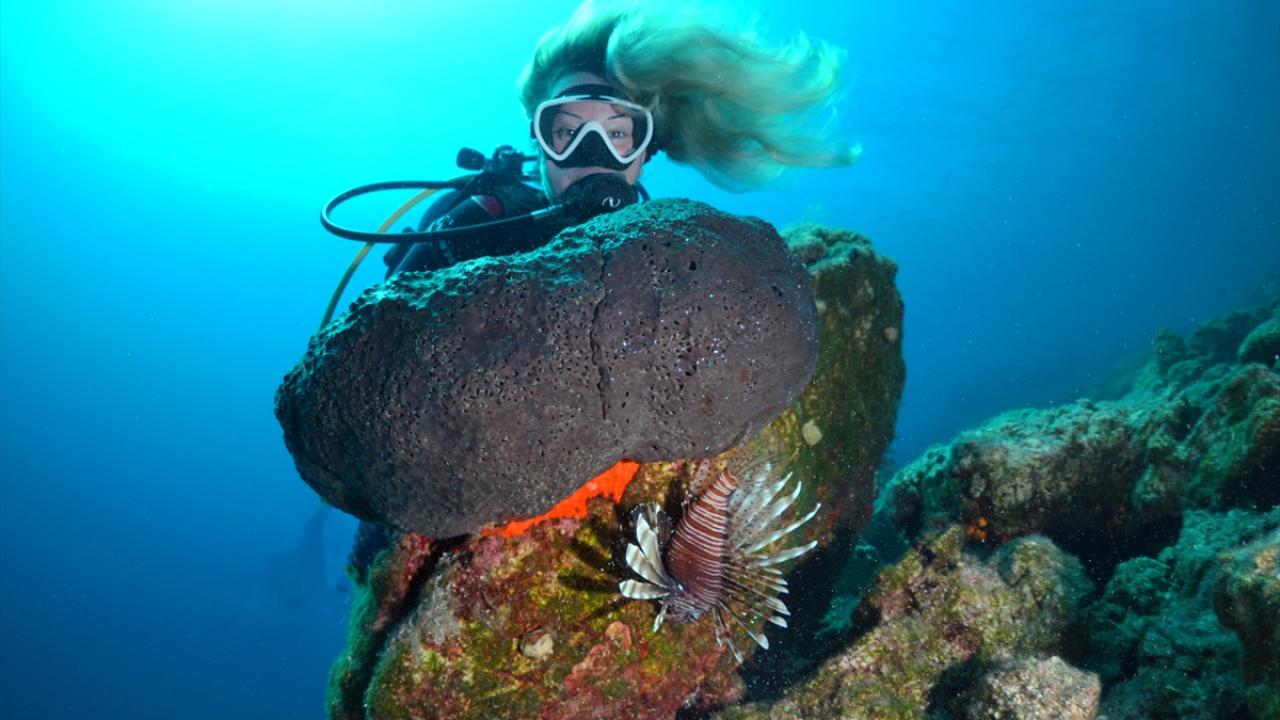 "Su altı dalış turizmini çok önemsiyoruz"