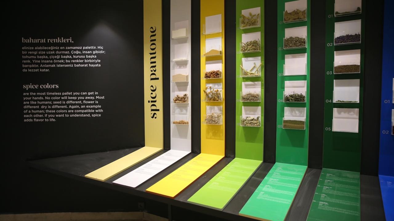 132 baharat çeşidi hakkında her şey var