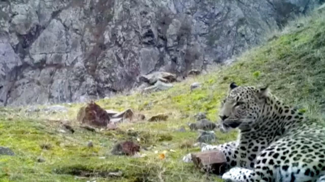 Bölgesel Eylem Planı katkı sağlayacak