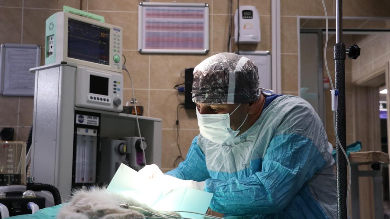 "Korneada aşırı şekilde tahribat vardı"