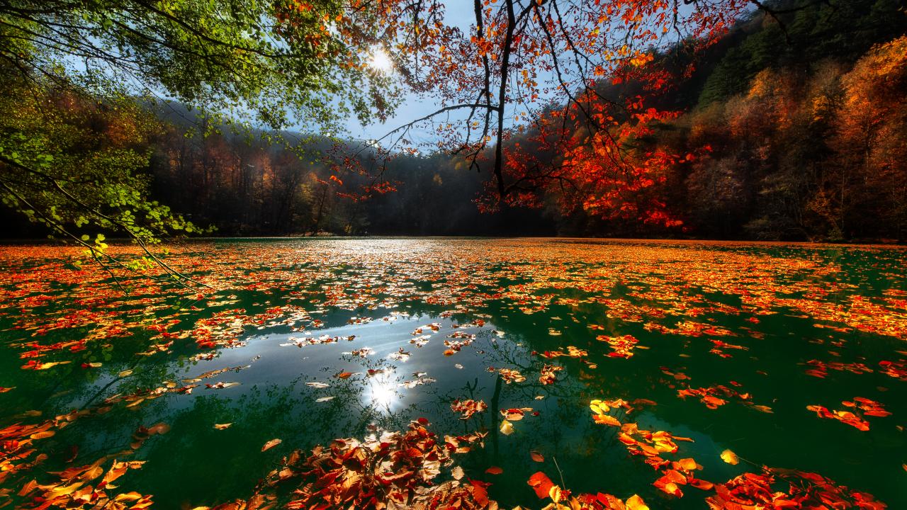 Yedigöller Milli Parkı