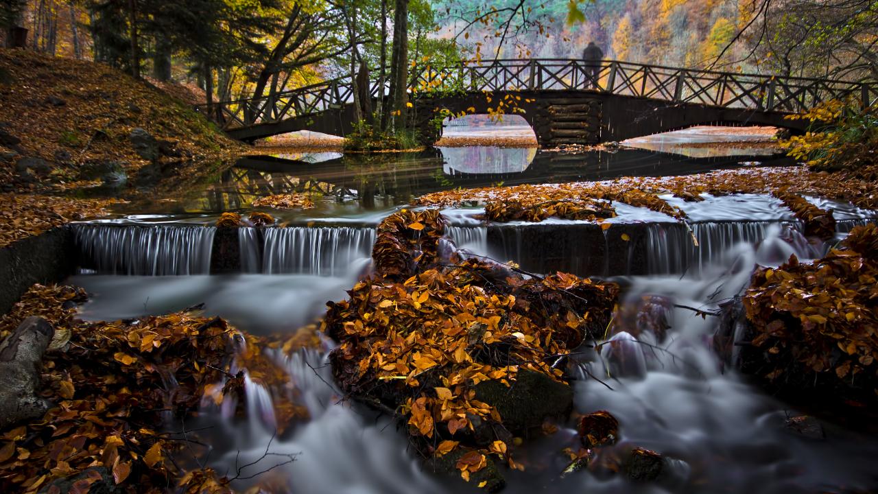 Yedigöller milli Parkı