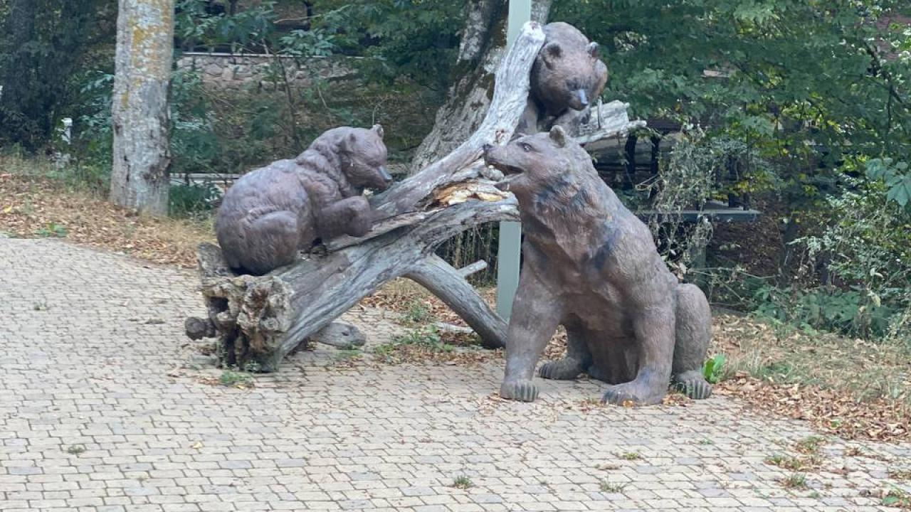 Azerbaycan Maralı`na Konu Olan Su Kaynağı