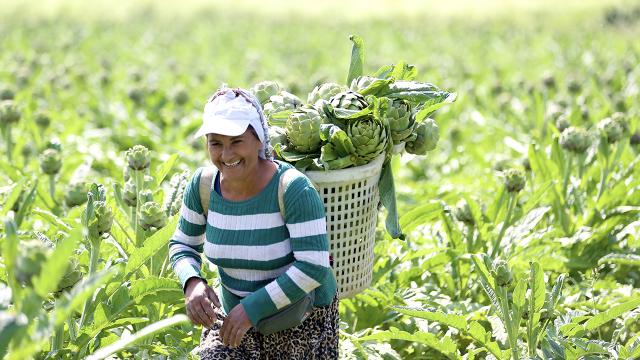 Tarım ve Orman Bakanlığı 3,6 milyon kadın çiftçiye eğitim verdi