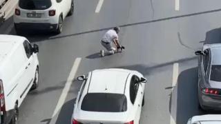 Trafiği durdurup kediyi ezilmekten kurtardı