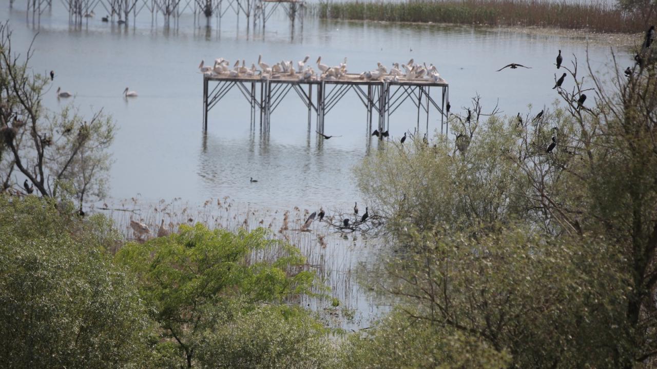 4. Kuşcenneti Milli Parkı (Balıkesir)  