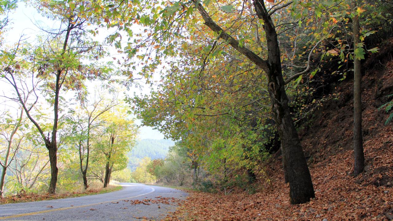 8. Spil Dağı Milli Parkı (Manisa) 