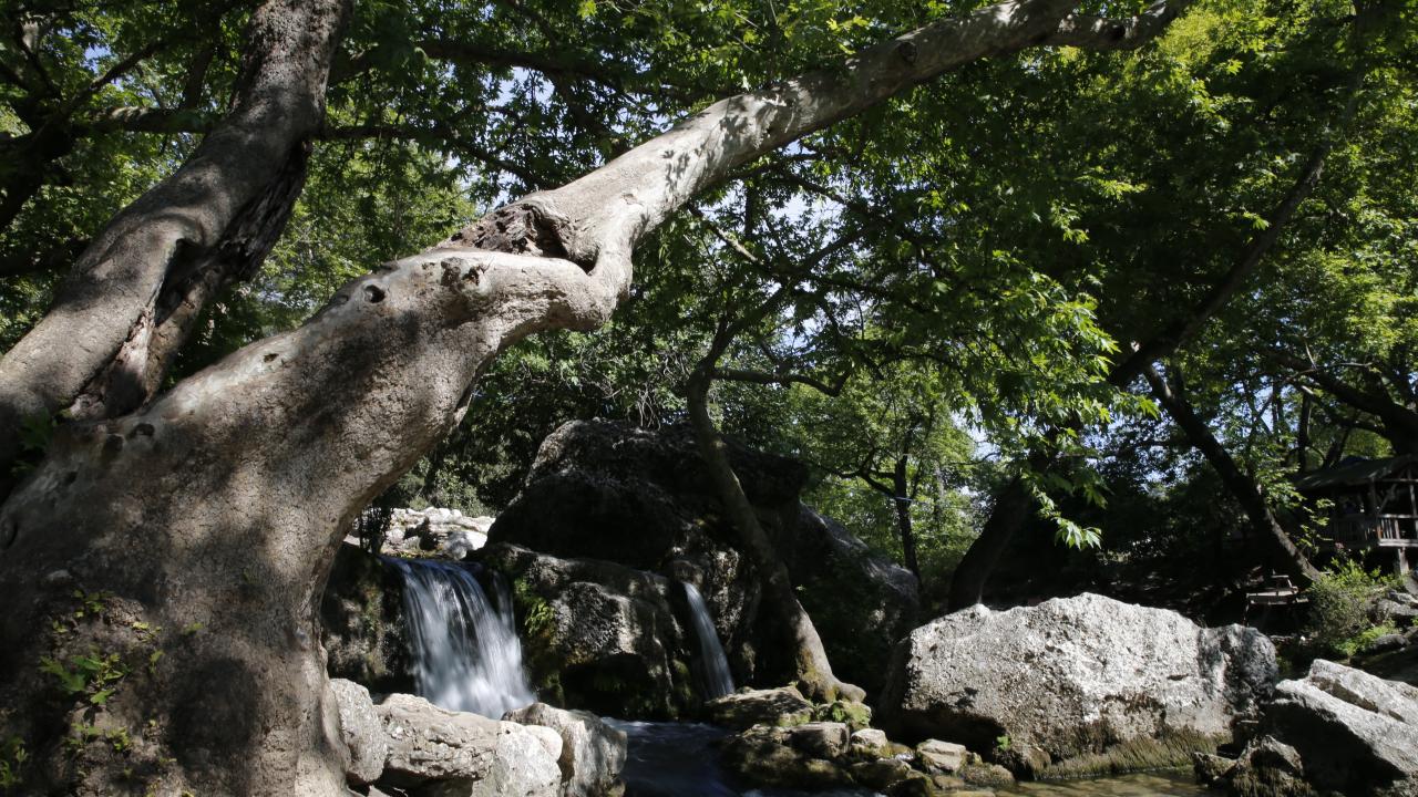 14. Köprülü Kanyon Milli Parkı (Antalya) 