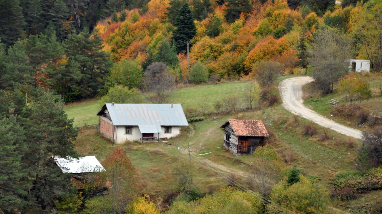 15. Ilgaz Dağı Milli Parkı (Kastamonu-Çankırı) 