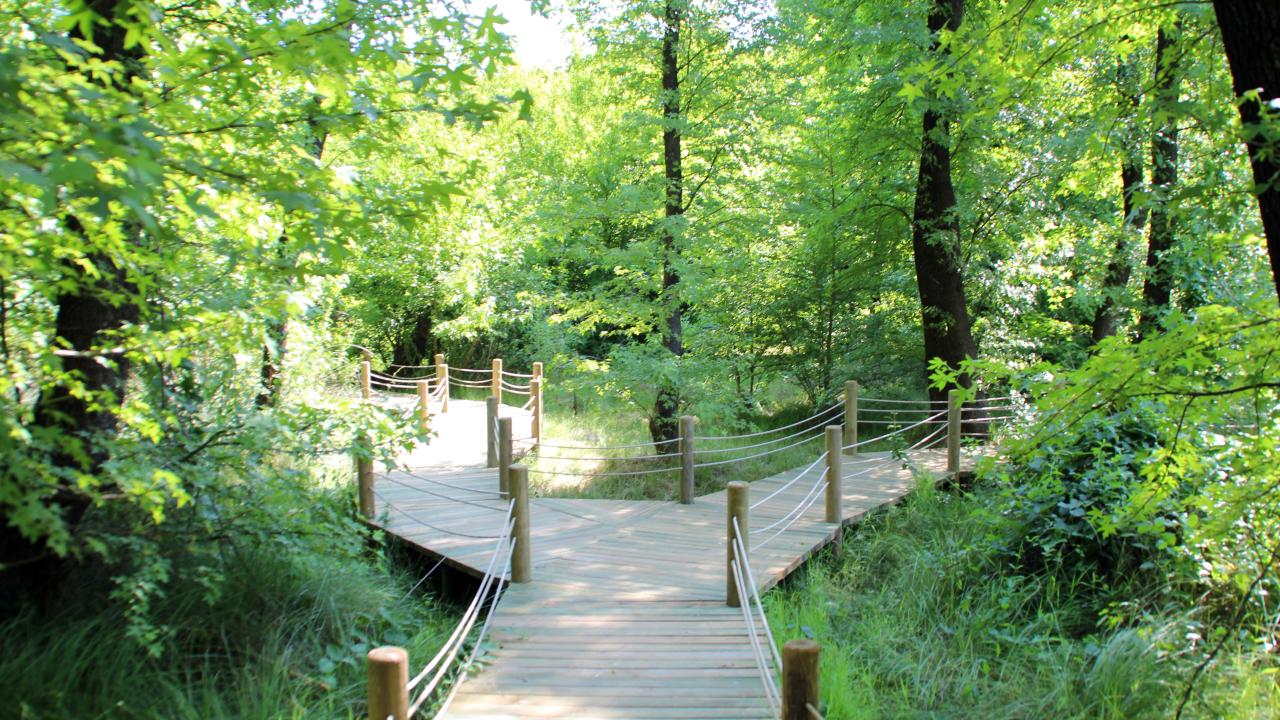 27. Marmaris Mili Parkı (Muğla) 